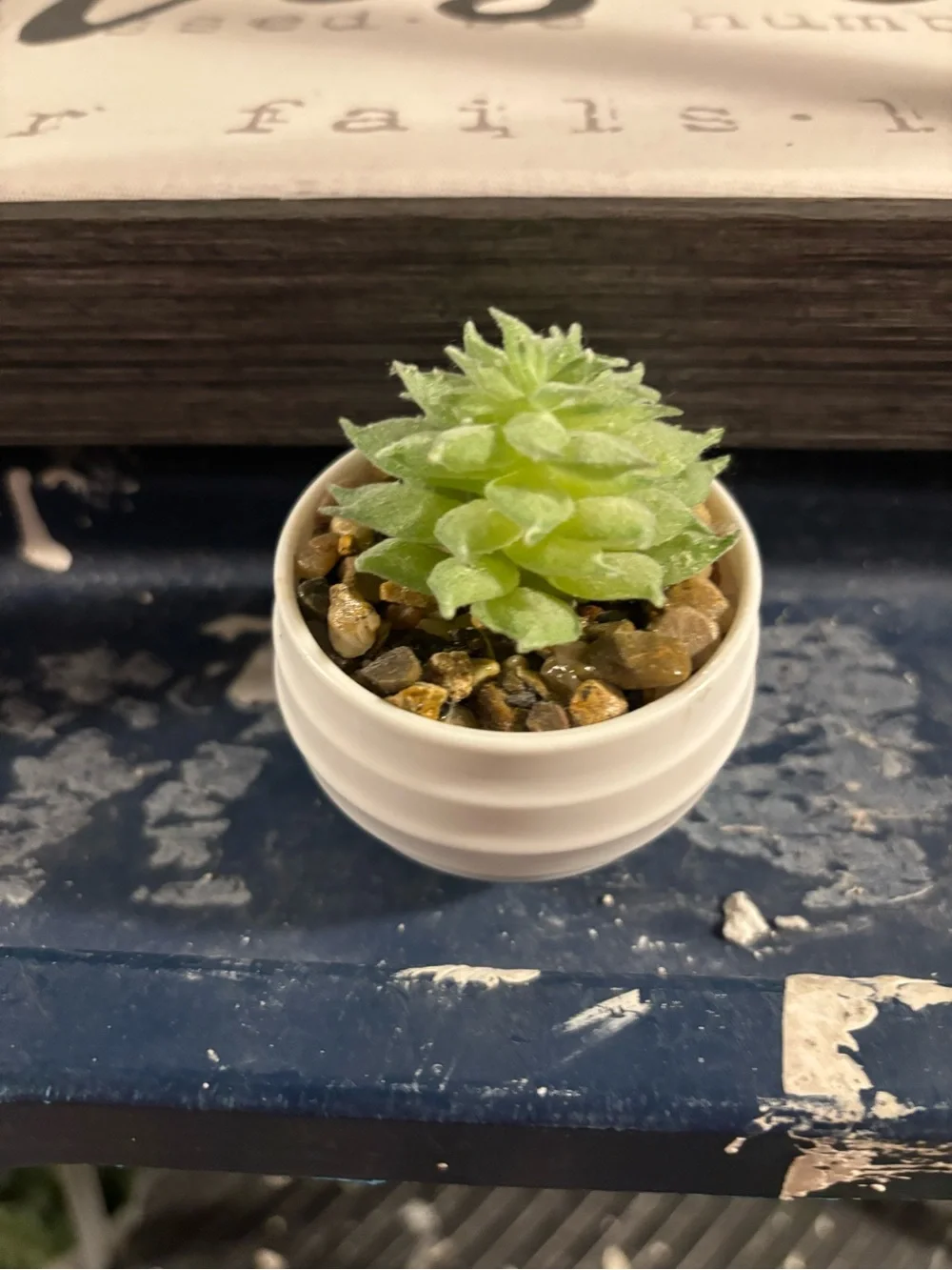 Mini Artificial Succulent Assortment in White Pots - Green